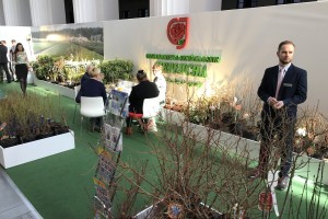Gospodarstwo Szk&oacute;łkarskie Ciepłucha z oferką krzew&oacute;w bor&oacute;wki wysokiej