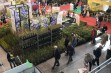 Gardenia 2017 po szk&oacute;łkarsku