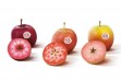 Nowe odmiany jabłoni o czerwonym miąższu 