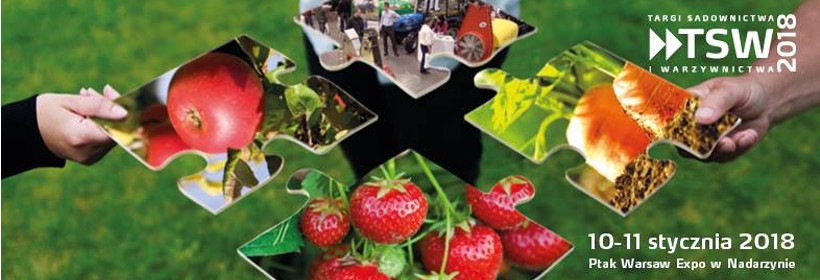 Z kt&oacute;rymi szk&oacute;łkami spotkamy się na TSW 2018