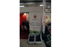 Poprzednia edycja - TSW 2017