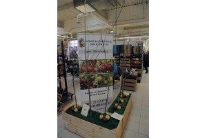 Poprzednia edycja - TSW 2017