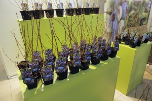 Poprzednia edycja - TSW 2017