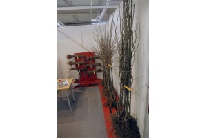 Poprzednia edycja - TSW 2017