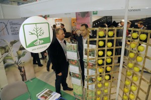 Poprzednia edycja - TSW 2017