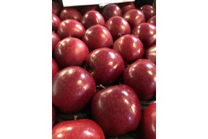 Gospodarstwo Szkółkarskie Jan Kozerski - odmiana Gala Schniga Schnico Red(s)