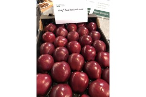 Gospodarstwo Szkółkarskie Jan Kozerski - odmiana King Roat Red Delicious