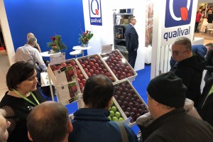  Grupa Qualival Sp. z o.o. [Szk&oacute;łka Jankowski & Syn]