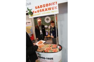 Agro-Trus - sadzonki truskawek