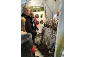 Gospodarstwo Ogrodnicze Krupińscy - sadzonki bor&oacute;wki