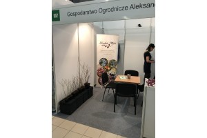 Gospodarstwo Ogrodnicze Kusibab-Wyka - sadzonki bor&oacute;wki