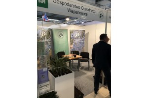 Gospodarstwo Ogrodnicze Waganowice - sadzonki bor&oacute;wki