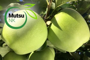 Odmiana jabłoni - Mutsu NK