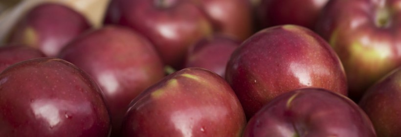 Miejsce narodzin kultowej odmiany McIntosh na sprzedaż 