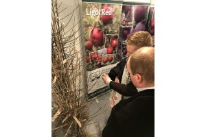 Poprzednia edycja - TSW 2018