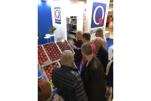 Poprzednia edycja - TSW 2018