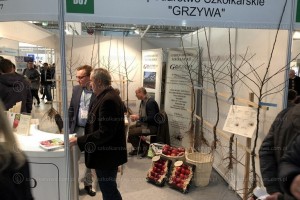 Poprzednia edycja - TSW 2018