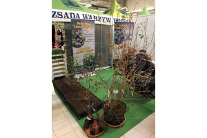 Poprzednia edycja - TSW 2018