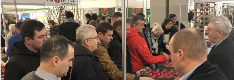 TSW 2019 po szk&oacute;łkarsku
