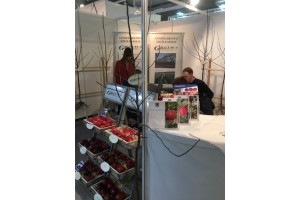 Gospodarstwo szkółkarskie Grzywa