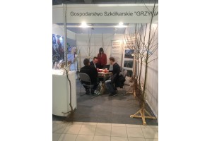 Gospodarstwo szkółkarskie Grzywa