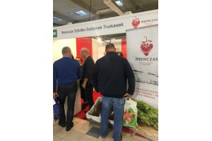 Niewczas Szkółka Sadzonek Truskawek