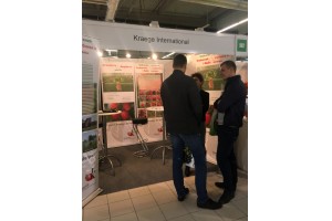 Kraege International