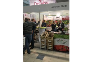 Agronom Plants
