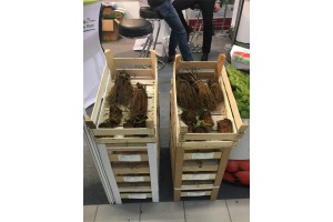 Agronom Plants