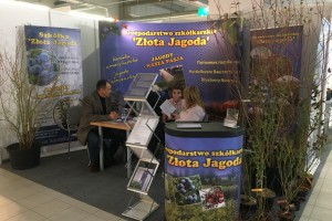 Szkółka Złota Jagoda