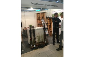 Gospodarstwo Ogrodnicze Krupińscy
