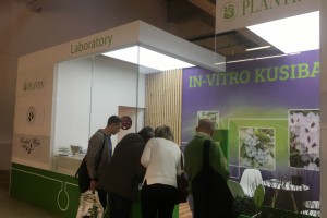 Gospod.Ogrod.Aleksandra Kusibab-Wyka, Gospodarstwo Ogrodnicze Waganowice, Plantini,