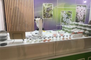 Gospod.Ogrod.Aleksandra Kusibab-Wyka, Gospodarstwo Ogrodnicze Waganowice, Plantini,