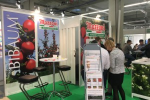 Mazzoni S.p.A. (Włochy),