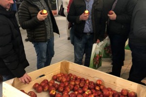 Stoisko Grupy Hodowlanej AJAPPLE