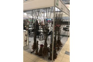 Gospodarstwo Szkółkarskie Jan Kozerski - drzewka owocowe