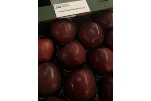 Gospodarstwo Szkółkarskie Jan Kozerski - odmiana King Roat Red Delicious