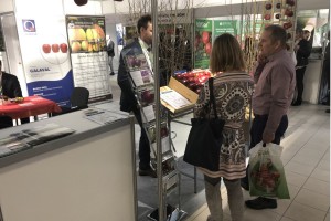 Szkółka Marek Bielak i Synowie