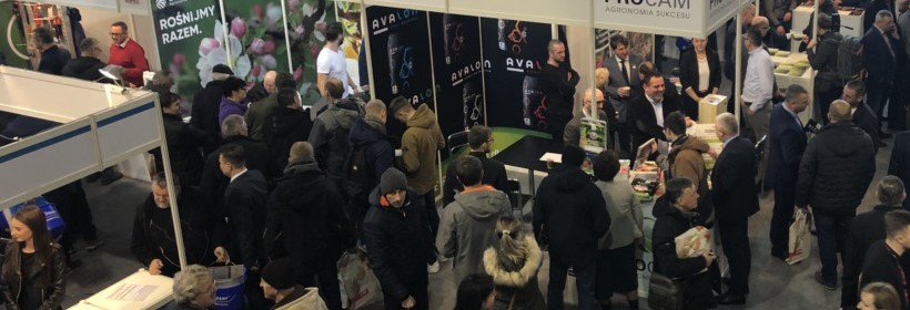 Szk&oacute;łki podczas 28 Spotkania Sadowniczego w Sandomierzu