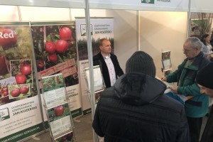 Gospodarstwo Szk&oacute;łkarskie Jan Kozerski