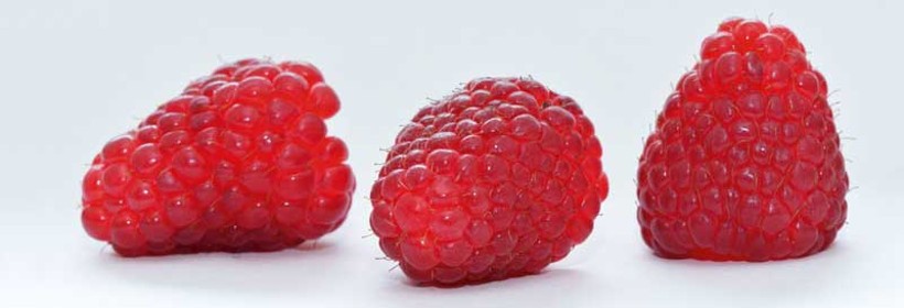 Mapema® – nowa odmiana maliny o dużych owocach 