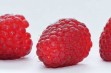 Mapema® – nowa odmiana maliny o dużych owocach 
