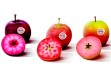 Kissabel® – nowa marka jabłek zachwyca konsumentów