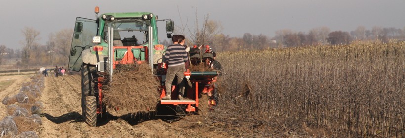 Wyższa premia dla młodych rolnik&oacute;w &ndash; wnioski od 31 maja