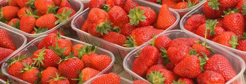 Grandarosa - polska odmiana, kt&oacute;ra zaczęła zdobywać europejskie rynki 