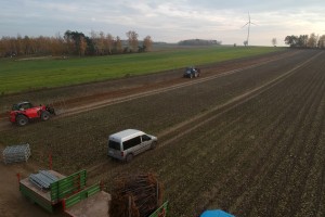  Szk&oacute;łka podczas wykopywania drzewek