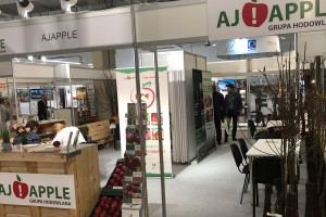 Poprzednia edycja - TSW 2019