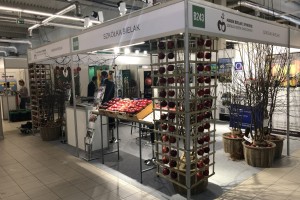 Poprzednia edycja - TSW 2019