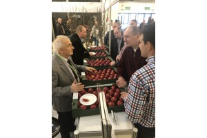 Poprzednia edycja - TSW 2019