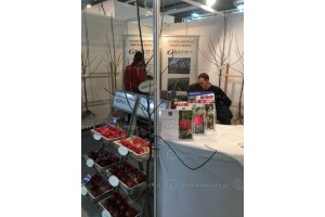Poprzednia edycja - TSW 2019